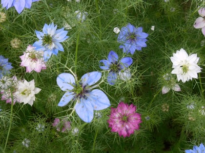 DSCN0411.jpg