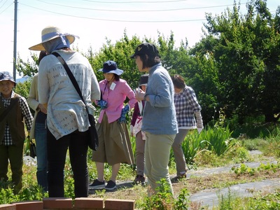 DSCN0432.jpg