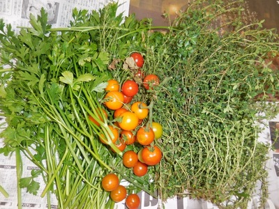 DSCN0675.jpg