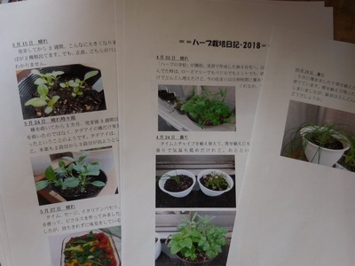 DSCN0850.jpg