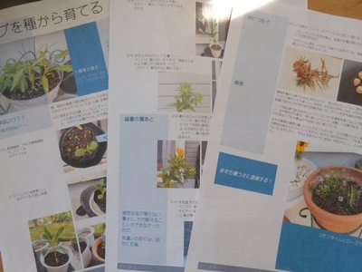 DSCN0851.jpg