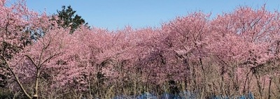 IMG_2303.jpg